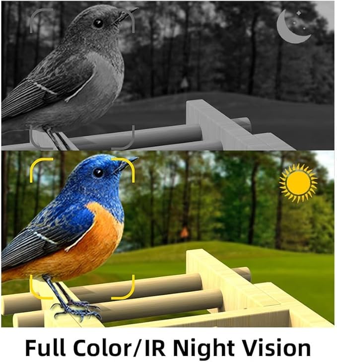 Bird Feeder with Camera, Upgraded Smart Birdhouse Al Identify for 10000 Plus Species, Auto Capture & Real-time Notifications, Ideal Gift for Bird Lovers