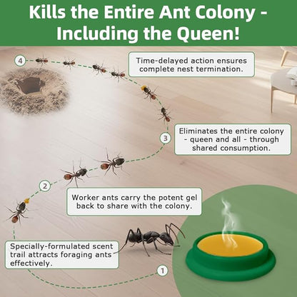 36 PCS Ant Killer Gel Bait Stations, Extra Strengthen Ant Bait Traps, Long-Lasting Effective Pest Gel for Carpenter Ants and Other Common Household Ants, No Mess Easy Use, Safe for Pets and Kids