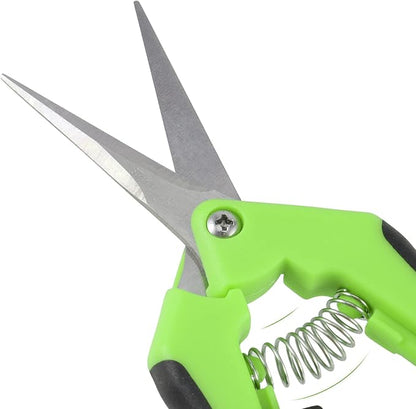 JEUIHAU 12 Pack 6.5 InchesPruning Shears Trimming Scissors, Gardening Hand Pruning Shears with Straight Tip Stainless Steel Blades, Micro Tip Pruning Snips for Trimming Garden Herb Plant Flower, Green