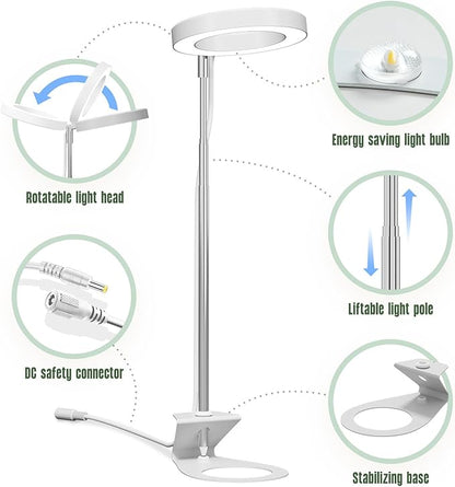 GLOWRIUM Grow Lights for Indoor Plants, LED Full Spectrum Growing lamp, 10 Level Dimmable, 3/9/12H Timer, 9-24 Inches Height Adjustable, Suit for Desk Succulents Mini Small Plants (White-Desk Style)