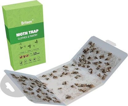 Pantry Moth Traps 10-Pack Safe and Effective for Food and Clothing- Glue Traps with Pheromones for Wool Closet Carpet Food and Cupboard K08