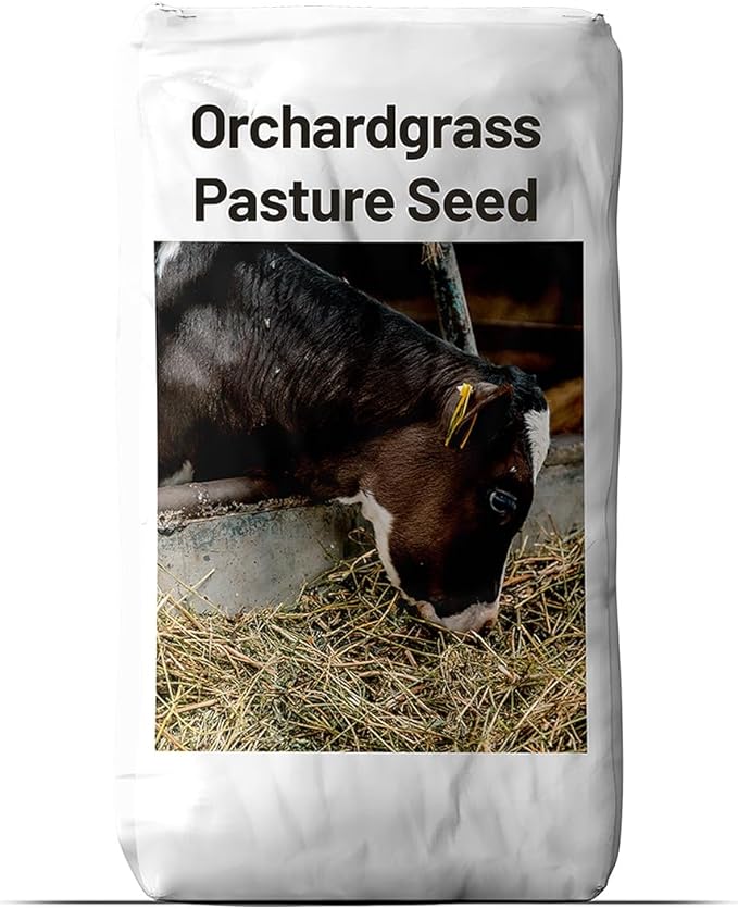 Outsidepride Grazer Orchard Pasture Grass Seed - 50 Lbs. Perennial, Drought & Shade Tolerant, Winter Hardy Fescue Seed for Hay, Grazing, Silage, Greenchop, Goat Feed, & Lawn Use