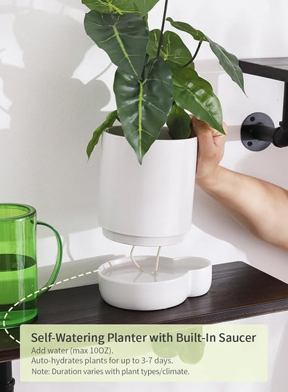 5.5 Inch Ceramic Self Watering Planters with Absorbent Cotton Rope, Cylinder Round Flower Pot for Succulent, Herbs, African Violets, White, 1 Pack
