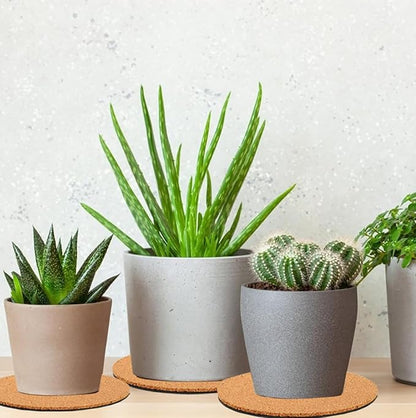 2 Pieces Cork Plant Coasters, 12 Inch Cork Plant Mats, Cork Coaster for Planters, Large Plant Coasters for House Plants Indoors (Nude & Black)