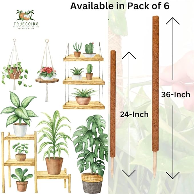 Pack of 6 Coco Coir Pole- Plants Monstera 24" Sized Poles for Climbing Plants, Plant Support Stakes for Indoor/Outdoor Potted Plants