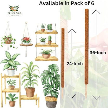 Pack of 6 Coco Coir Pole- Plants Monstera 24" Sized Poles for Climbing Plants, Plant Support Stakes for Indoor/Outdoor Potted Plants