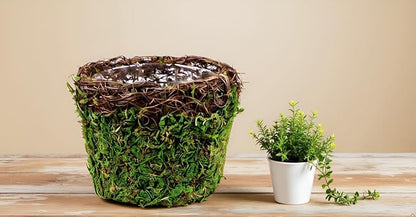 SuperMoss (55152 Vineyard Decorative Moss Basket Ideal for Home Decor, Office Decor, and Indoor Plants, Medium Size: 5.5″ x 4.7″, Fresh Green