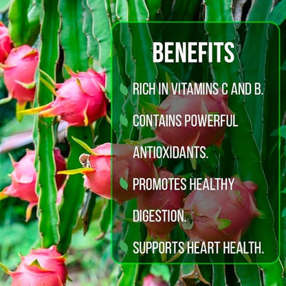 Dragon Fruit Edgar's Baby (4 Pack) | Real Live Fruit Plants for Sale | Rare Exotic Variety | Sweet Edible Fruit | Easy to Grow Live Plants for Organic Gardens. (Edgar's Baby)