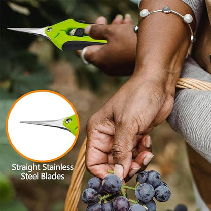 HAISHANG Pruning Shears, 6.5 Inch Garden Shears, Gardening Scissors with Straight Stainless Steel Precision Blades for Trimming Plant, Herb, Flower, Hedge, Rose, Bonsai