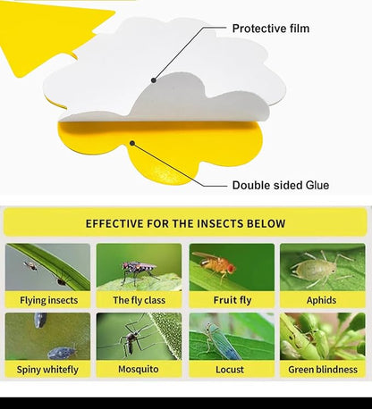 36 Pcs Flower Shape Sticky Traps for Fungus Gnat (Plants), Flying Insect, Whitefly and Fly, Yellow Sticky Insect Catcher Traps for Indoor/Outdoor, Kitchen & Plants, High-End Glue, Non-Toxic, 4 Shapes