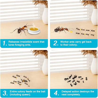 32 Pack Ant Killer Gel Bait, Long Lasting Indoor & Outdoor Ants Bait for Effective Ant Control, Safe & Easy to Use Pest Control for All Common Household Ants, Mess-Free Gel Stations
