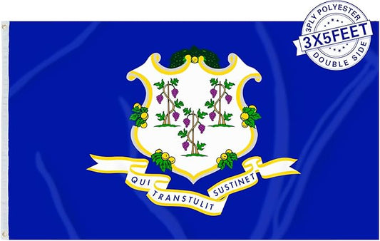 AMZFLAG Connecticut State Flag 3x5 ft Outdoor, Heavy Duty 3 Ply Polyester CT Connecticut Flags with 2 Brass Grommets, Patriotic Double Sided State of Connecticut Flag
