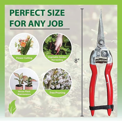 Garden Guru Straight Stainless Steel Pruner Pruning Shears Clippers Snips – Sharp Bonsai Cutter Plant Trimming Scissors – Straight Blade Garden Scissors Tool – Great for Roses Flowers Herbs Fruits