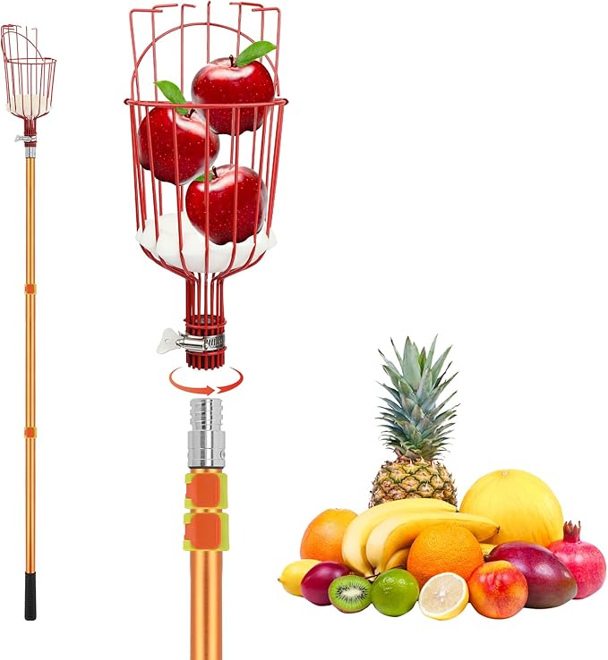 SANLIKE Fruit Picker Tool 12FT Telescoping Fruit Picker Pole, Easy to Assemble Twist-On Apple Basket, Lightweight Aluminum Fruit Picking Equipment for Getting Fruits Apple Orange Pear Mangoes