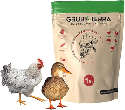 GrubTerra Golden Dried Black Soldier Fly Larvae - Premium Supplement to Increase Egg Production for Hen Treats, Bird Feed, Chicken Feeder, Pet Bird Food, and Wildbird Feed, Never from China! (1lb)