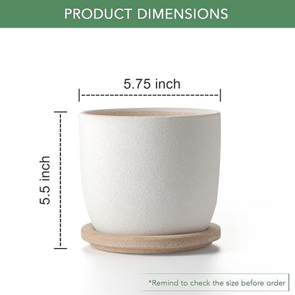 Ceramic Flower Pots Indoor-Outdoor: 5.75 Inch Planters with Drainage Holes & Saucer - Modern Decorative Plant Pots Ceramic for Home Gardeners (White)