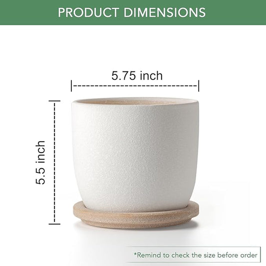 Ceramic Flower Pots Indoor-Outdoor: 5.75 Inch Planters with Drainage Holes & Saucer - Modern Decorative Plant Pots Ceramic for Home Gardeners (White)