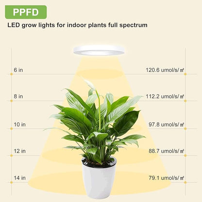 Full Spectrum Grow Light for Indoor Plants, 72 LEDs Halo Plant Light with Auto On/Off Timer (4/8/12H), 10-Level Brightness, 3 Lighting Modes, for Small Plants & Seedlings (White, One Head)