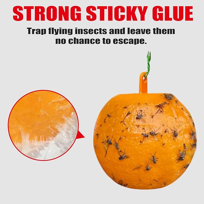 Fly Sticky Ball Fly Trap Outdoor, 6 PCS Fly Traps Ball Indoor, Hanging Sticky Bugs Gnat Ball for Garden Plants Trees Flies Gnat Wasp Bugs