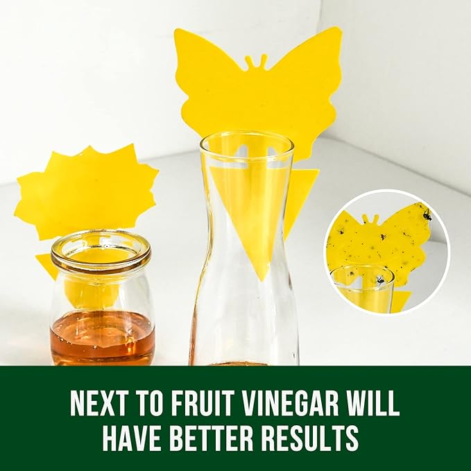 Garsum 36 Pack Fungus Gnat Traps Sticky Fruit Fly Trap Killer for Kitchen Indoor and Outdoor, Insect Fly Traps for House Plants, Whitefly, Mosquito Bits, Flying Insects