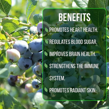 Pink Lemonade Blueberry (Legacy)