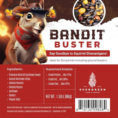 Birdseed Cylinders with Hole - Bird Seed for Outside Wild Birds (Small Cylinder, Bandit Buster 6pc)