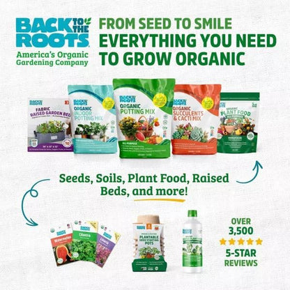 Wellness Grow Kit: Basil