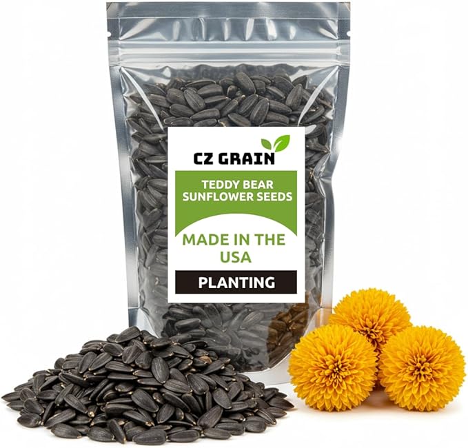 100 Teddy Bear Sunflower Seeds for Planting – Ultra-Fluffy Golden Blooms with Round Heads – Perfect for Gardens, Containers, and Pollinator-Friendly Landscaping - Unique and Fun