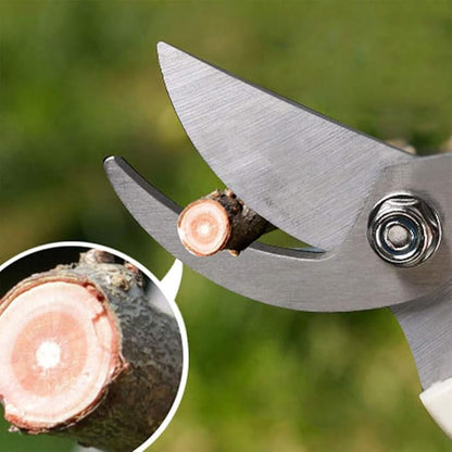 BUGUI Bypass Garden Pruning Shears - 2 Pack, Ultra Lightweight Hand Pruners Make Cut Smooth & Clean, Professional Gardening Scissors for Cutting Live Flowers, Plants, Light Branches