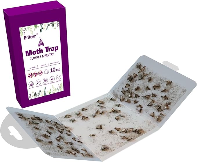 Pantry Moth Traps 10-Pack Safe and Effective for Food and Clothing- Glue Traps with Pheromones for Wool Closet Carpet Food and Cupboard K07