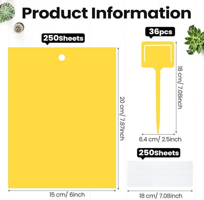 Qualirey 250 Pcs 6 x 8 Inch Sticky Traps for Gnats Dual Sided Fruit Fly Sticky Traps for Indoor and Outdoor Plant with Twist Ties and Plastic Holders for Flying Plant Insect, Fungus Gnats (Yellow)