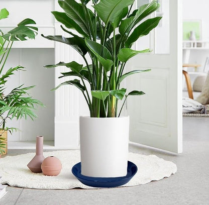 4 Pack of Plant Saucer, 5 inch Glazed Ceramic Plant Tray, Deep Drainage Tray for 4 Inch Flower Pot,Plant Dish Plate to Catch Water for Indoor & Outdoor