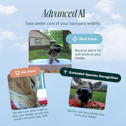 Bird Buddy Solar Smart Bird Feeder with Camera - AI Bird Species Identification, 5MP Photos, 2K HD Video Live Stream Camera, Solar-Powered Charging, 2.8in Focus - Blue