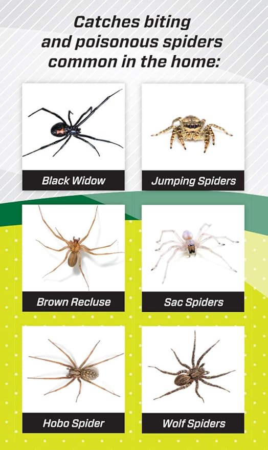 RESCUE! Spider Traps – Catches Brown Recluse, Hobo Spiders, Black Widows & Wolf Spiders - 3 Pack (9 Traps)