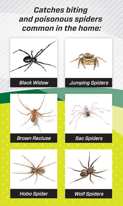 RESCUE! Spider Traps – Catches Brown Recluse, Hobo Spiders, Black Widows & Wolf Spiders - 3 Pack (9 Traps)