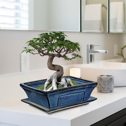 Large Ceramic Bonsai Pots with Drainage Trays Set of 2, 10" Blue Glazed Bonsai Planters for Indoor/Outdoor Use, Rectangular Shallow Bonzai Tree Pot for Succulent, Orchids, Cacti, Home, Patio, Garden