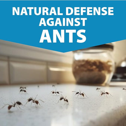 Insect & Ant Spray Bundle - Natural Bug Repellent & Ant Control for Indoor/Outdoor Use - Kid & Pet Safe Plant-Based Pest Prevention for Home, Garden, Patio, Kitchen, Yard