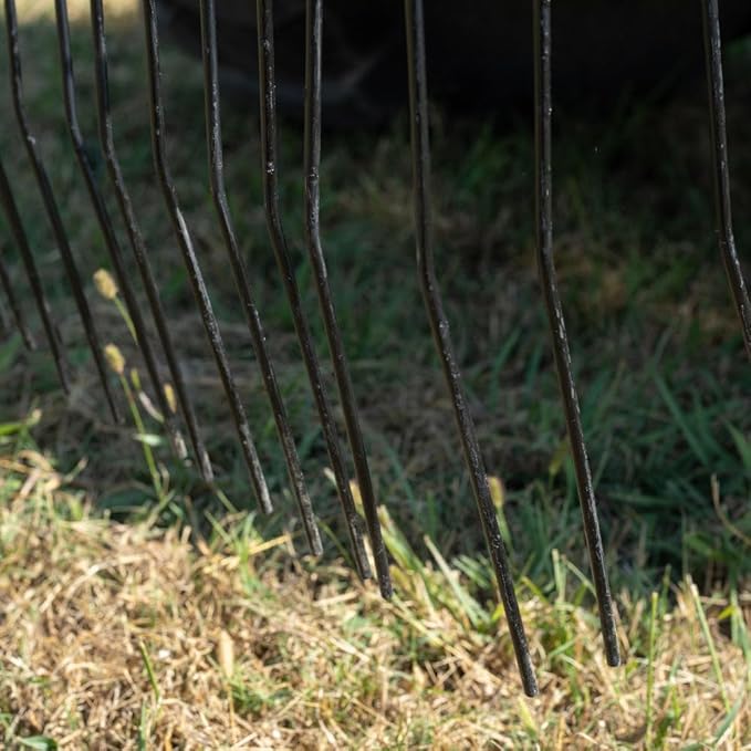 Titan Attachments 3 Point 5 FT Pine Straw Needle Rake, Category 1 Tractors, Coil Spring Tines, Drag-Behind Landscape Rake