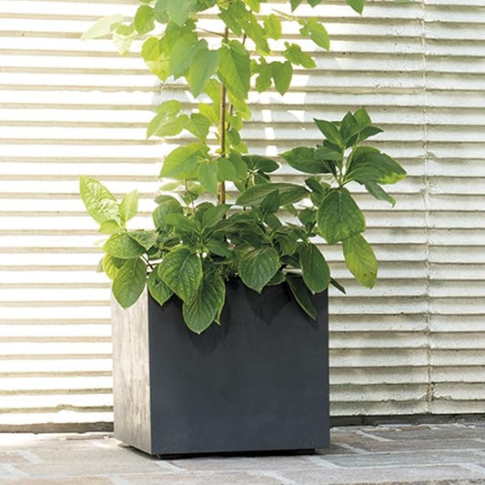 Deroma Millennium 15” Cube Planter | Light & Durable Plastic | Indoor or Outdoor Square Pot for Patio/Porch | Includes Water Reserve & Drain Plug | Trendy Planter for Plants, Flowers, Garden | Black