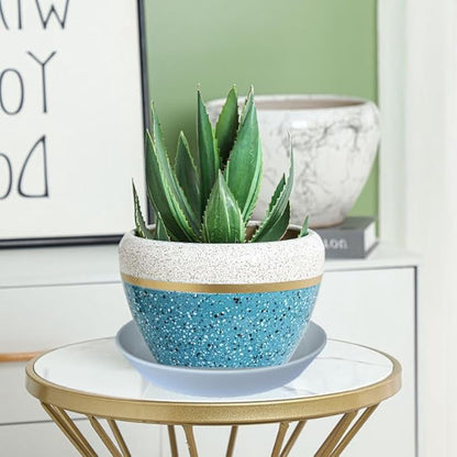 Plant Saucer Tray of 2 Pack 6 Inch, 7 inch (6.7 Inch) Plant Saucer Tray, Heavy Duty Glazed Ceramic Plant Saucers for Indoors & Outdoor, Flower Plant Water Trays for Pots Planter