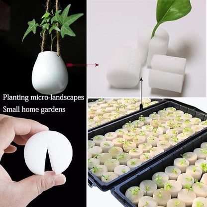 40 Pcs Aquatic Plants Fixed Rings Set, Anti-Floating Ceramic Aquarium-Plant Rings Plant Weights Pot, AquaticPlant Fixed Holder Aquarium-Landscape Decoration Fish Tank Accessories