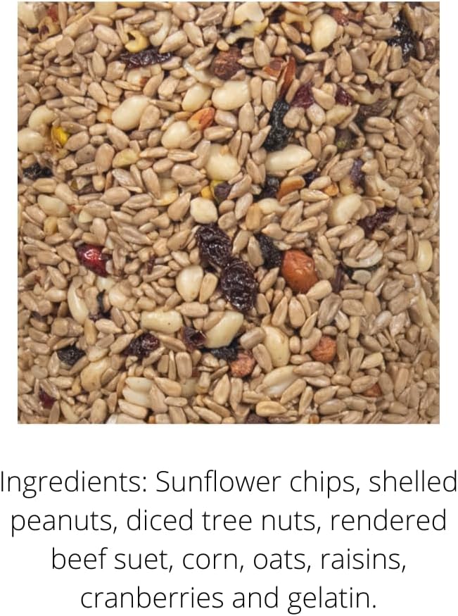 JCs Wildlife No Mess, No Waste Fruit Blend Premium Bird Seed Small Cylinder with Hole, 2 lb (2 Cylinder)