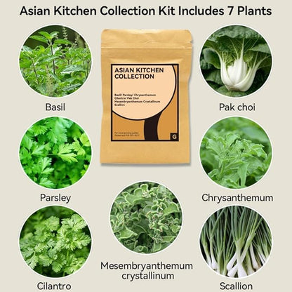 68pcs Hydroponic Pods Kit for Aerogarden, Indoor Garden Hydroponics Growing System - Compatible with All Brands (30 Grow Sponges, 12 Grow Baskets, 12 Grow Domes, 12 Pod Labels, 1 A&B Plant Food)
