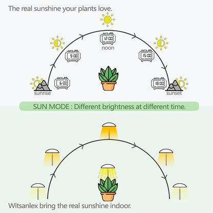 LED Grow Lights for Indoor Plants 4 Pack, Smart USB Small Full Spectrum Plant Lights with Remote, Height Adjustable, Auto On/Off Timer, Ideal for Home Decoration, Black