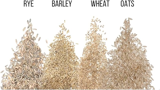 Cat Grass Seeds for Growing | 4 Way Blend, Rye, Wheat, Oats and Barley | Made in USA, Ships from Iowa. (1 Pound)