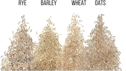 Cat Grass Seeds for Growing | 4 Way Blend, Rye, Wheat, Oats and Barley | Made in USA, Ships from Iowa. (25 Pounds)