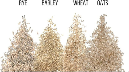 Cat Grass Seeds for Growing | 4 Way Blend, Rye, Wheat, Oats and Barley | Made in USA, Ships from Iowa. (10 Pounds)