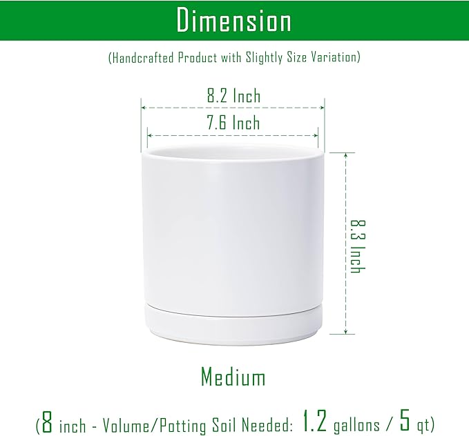 D'vine Dev 8.2 Inch Ceramic Planter Pot with Drainage Hole and Saucer, Indoor Cylinder Round Planter Pot, White, 94-O-D-1
