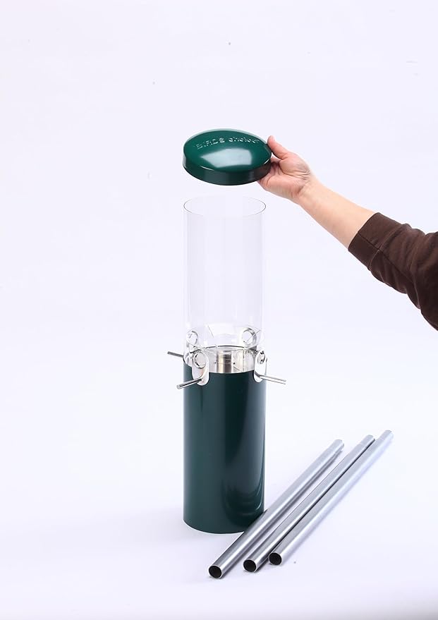 Birds Choice Classic Squirrel Proof Bird Feeder with Pole Mount | Tube Bird Feeder for Cardinals, Chickadees, Woodpeckers | Sturdy Steel for Long-Lasting Use | Backyard Birdseed Dispenser | Green