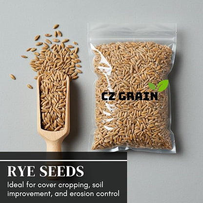 Winter Rye Seeds – Non-GMO Rye Grain Cover Crop – 25 Pound Bag for Soil Health & Weed Control